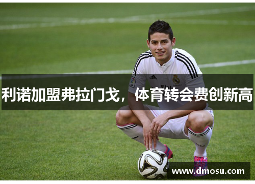利诺加盟弗拉门戈，体育转会费创新高